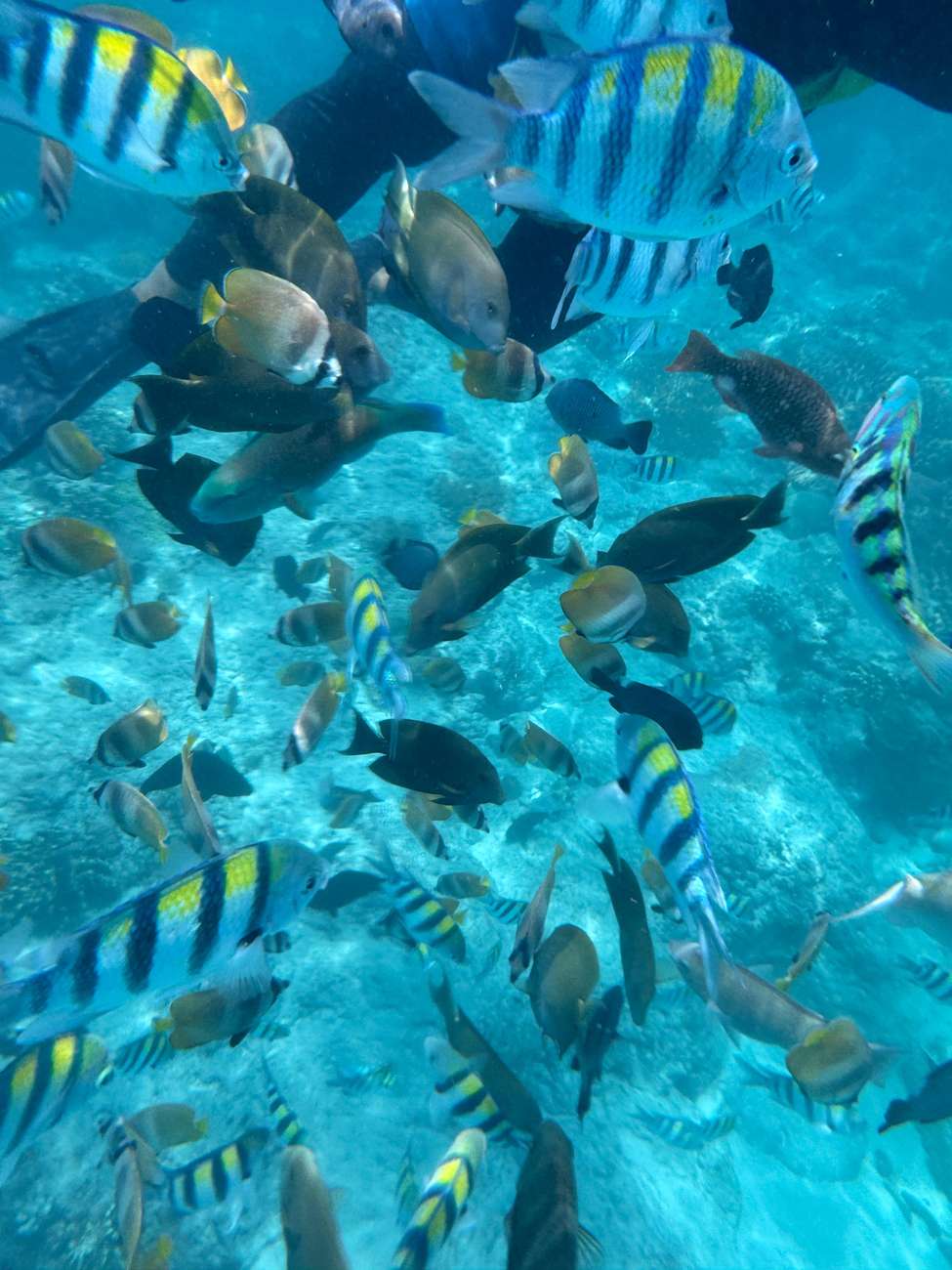 Bali: Blue Lagoon Snorkeling & Kanto Lampo Waterfall Tour with Lunch