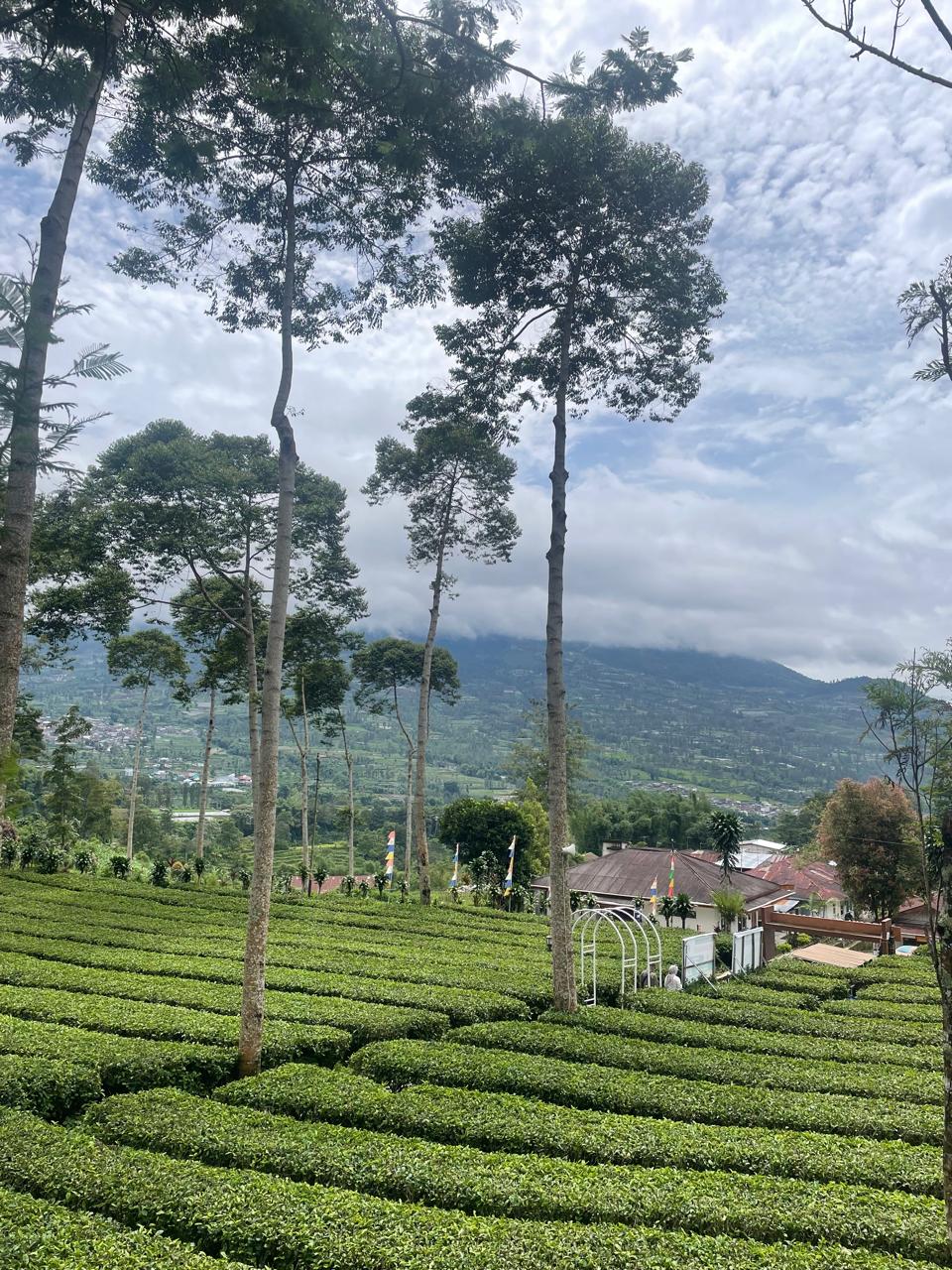 dieng-sunrise-culture-tour-from-yogyakarta-3