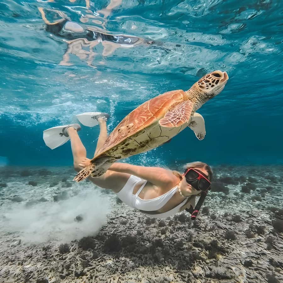 private-snorkeling-trip-gili-one-day-with-semaya-dharma-jet-boat-3